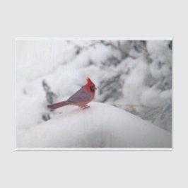 Kardinaal 6239 Papier voor weefsel