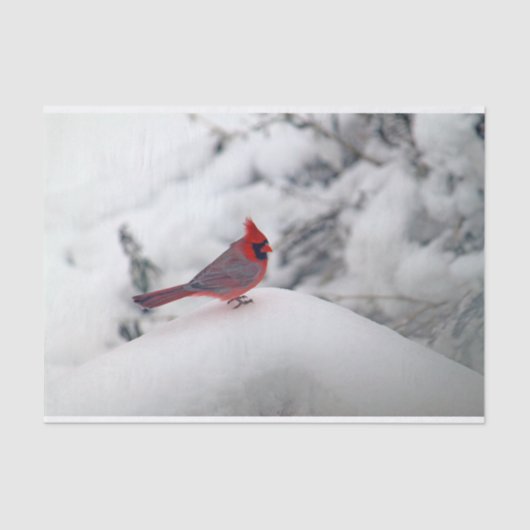 Kardinaal 6239 Papier voor weefsel (Voorkant)