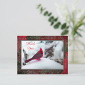 Kardinaal 6241 Lijst TY Briefkaart (Staand voorkant)