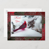 Kardinaal 6241 Lijst TY Briefkaart (Voorkant / Achterkant)