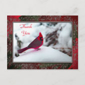 Kardinaal 6241 Lijst TY Briefkaart (Voorkant)