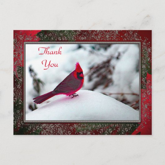 Kardinaal 6241 Lijst TY Briefkaart (Voorkant)