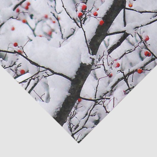 Kardinaal 6254 Papier voor weefsel (Detail)