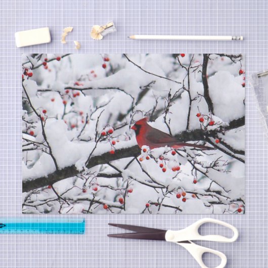 Kardinaal 6254 Papier voor weefsel (Craft)