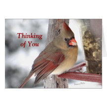 Kardinaal 6649 TofY - pas aan