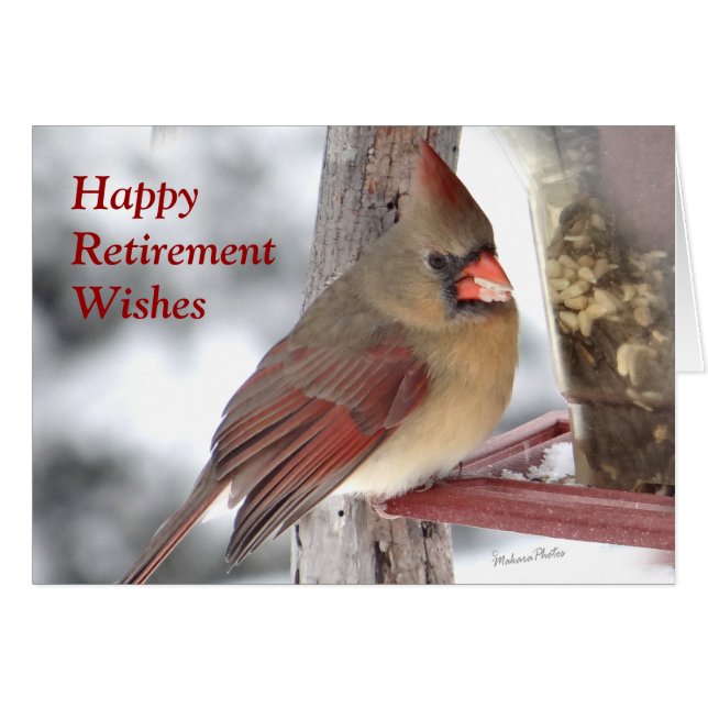 Kardinaal 6649 xc - Aanpassen (Voorkant Horizontaal)