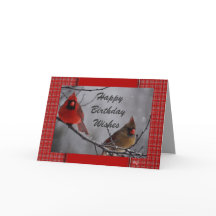 Kardinaal 9191 fv- aanpassen voor elke gelegenheid