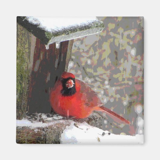 Kardinaal aan de feeder magneet (Voorkant)