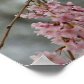 Kardinaal aan de top van een kruiersboom poster (Hoek)