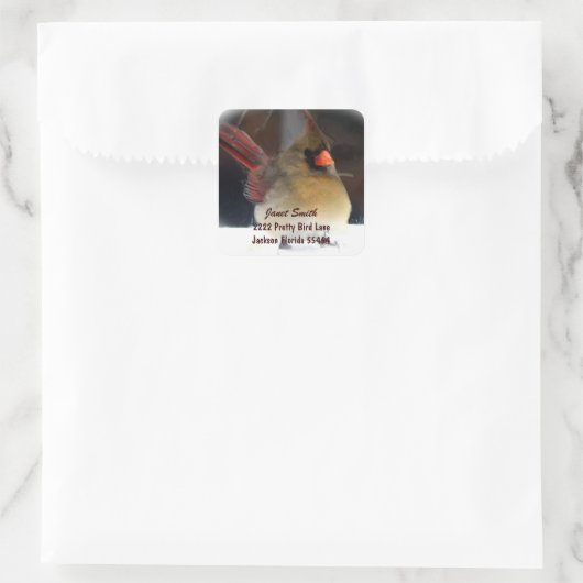 Kardinaal adres Sticker (Tas)