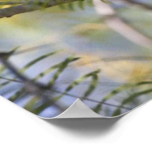 Kardinaal afdrukken poster (Hoek)