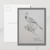 Kardinaal Ansichtkaart Briefkaart (Voorkant / Achterkant)