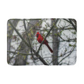 Kardinaal Badmat (Voorkant)