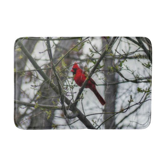 Kardinaal Badmat (Voorkant)