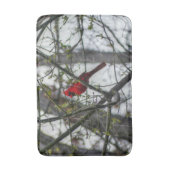 Kardinaal Badmat (Voorkant Verticaal)