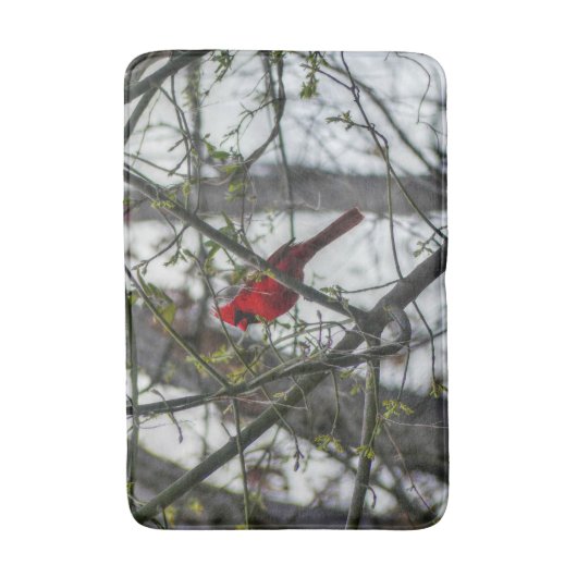 Kardinaal Badmat (Voorkant Verticaal)