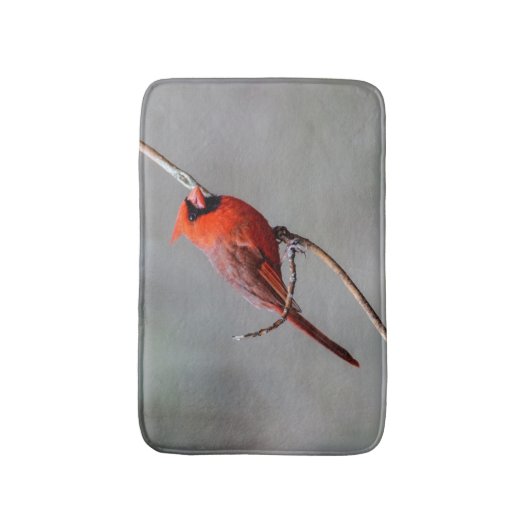 Kardinaal Bath Mat (Voorkant Verticaal)