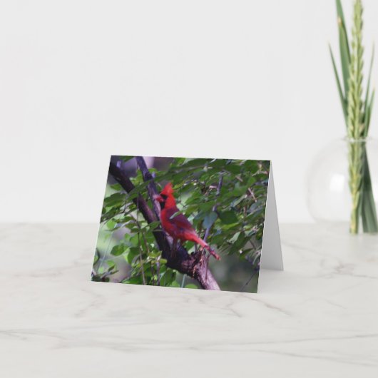 Kardinaal Bedankkaart (Voorkant)