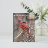 Kardinaal bevorderend Briefkaart (Staand voorkant)