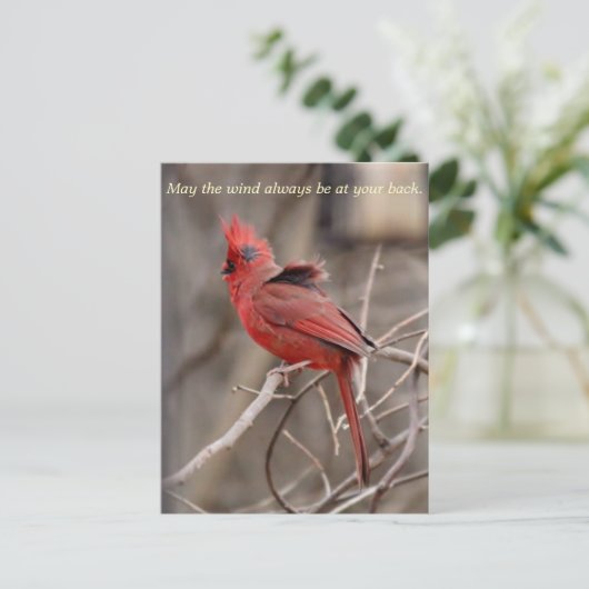 Kardinaal bevorderend Briefkaart (Staand voorkant)