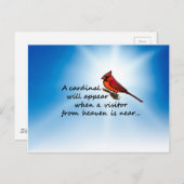 Kardinaal, bezoeker uit de hemel briefkaart (Voorkant / Achterkant)
