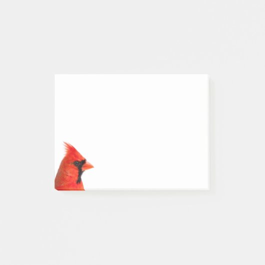 Kardinaal Bird Post-it® Notes (Voorkant)