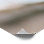 Kardinaal Bird Poster (Hoek)