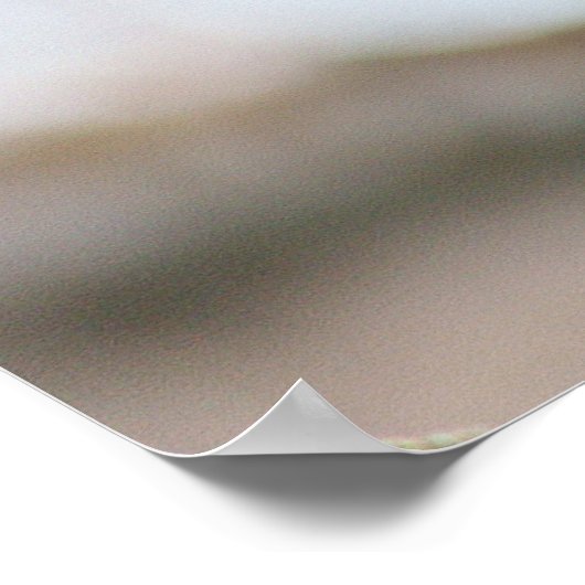 Kardinaal Bird Poster (Hoek)