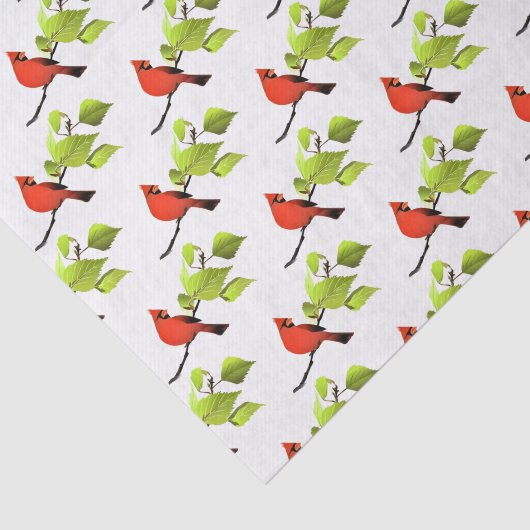 Kardinaal Bird Red Tissuepapier (Detail)