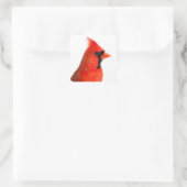 Kardinaal Bird Vierkante Sticker (Tas)