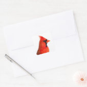 Kardinaal Bird Vierkante Sticker (Envelop)