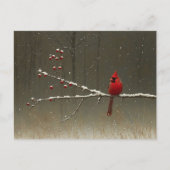 Kardinaal Bird Winter Berry Tree Briefkaart (Voorkant)