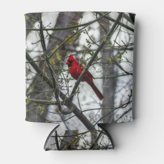 Kardinaal Blikjeskoeler (Voorkant)