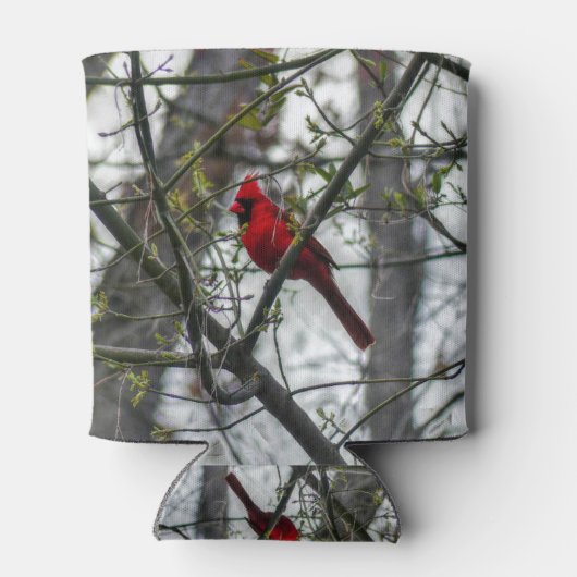 Kardinaal Blikjeskoeler (Achterkant)