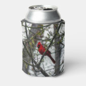 Kardinaal Blikjeskoeler (Blikje Achterkant)