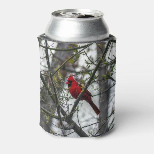 Kardinaal Blikjeskoeler (Blikje Achterkant)