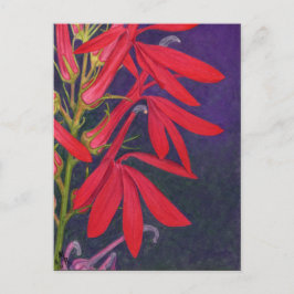 Kardinaal bloemenverf briefkaart