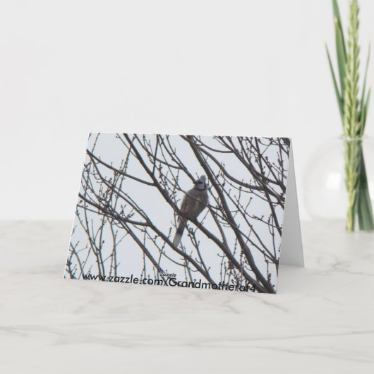 Kardinaal/Blue Jay: Laat de hemel en de Natuur zin Feestdagen Kaart (Achterkant)
