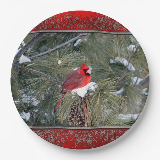 Kardinaal Bord 3097 Papier (Voorkant)