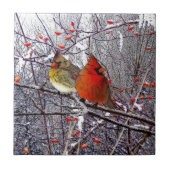 Kardinaal bos tegeltje (Voorkant)