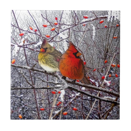Kardinaal bos tegeltje (Voorkant)