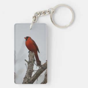kardinaal boven de boom. sleutelhanger