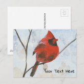 Kardinaal Briefkaart (Voorkant / Achterkant)