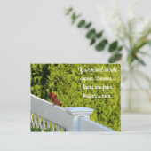 Kardinaal Briefkaart (Staand voorkant)