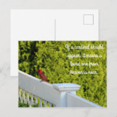 Kardinaal Briefkaart (Voorkant / Achterkant)