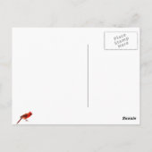 Kardinaal Briefkaart (Achterkant)