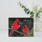 Kardinaal Briefkaart (Staand voorkant)