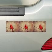 Kardinaal Bumpersticker (Op auto)