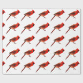 Kardinaal Cadeaupapier (Vlak)