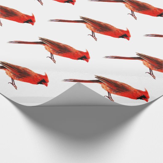 Kardinaal Cadeaupapier (Hoek)